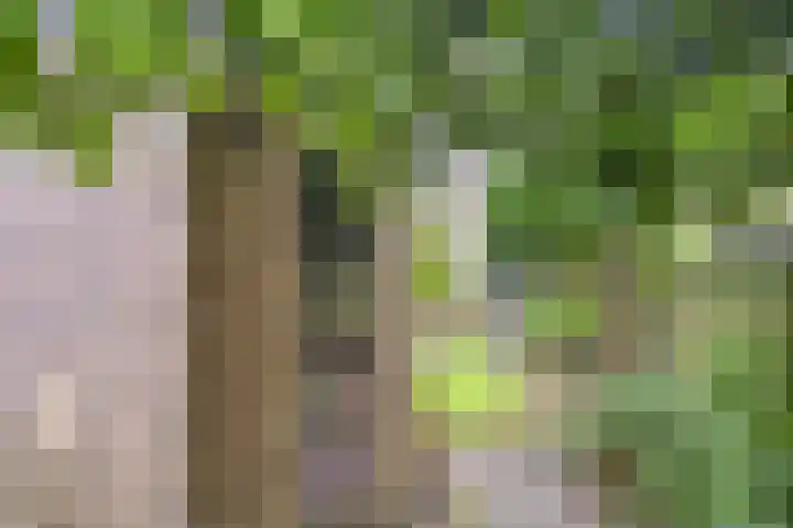 Eisenhowerlaan 8 Harderwijk thumbnail 28