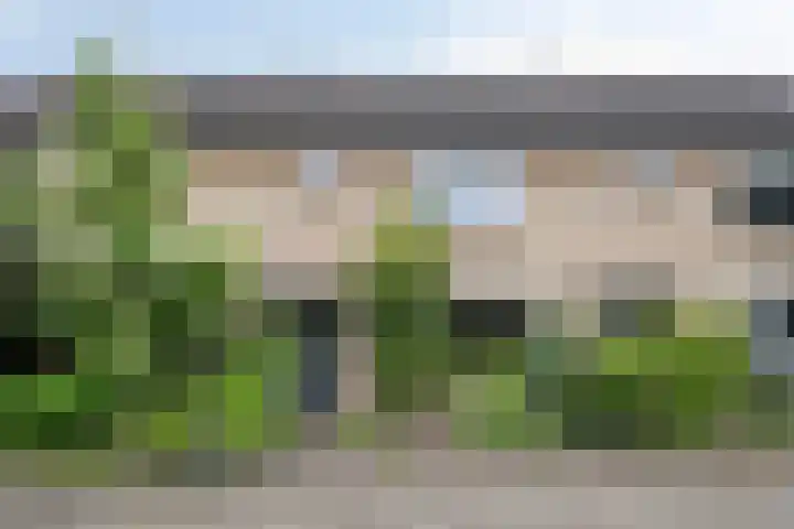 Eisenhowerlaan 8 Harderwijk thumbnail 30