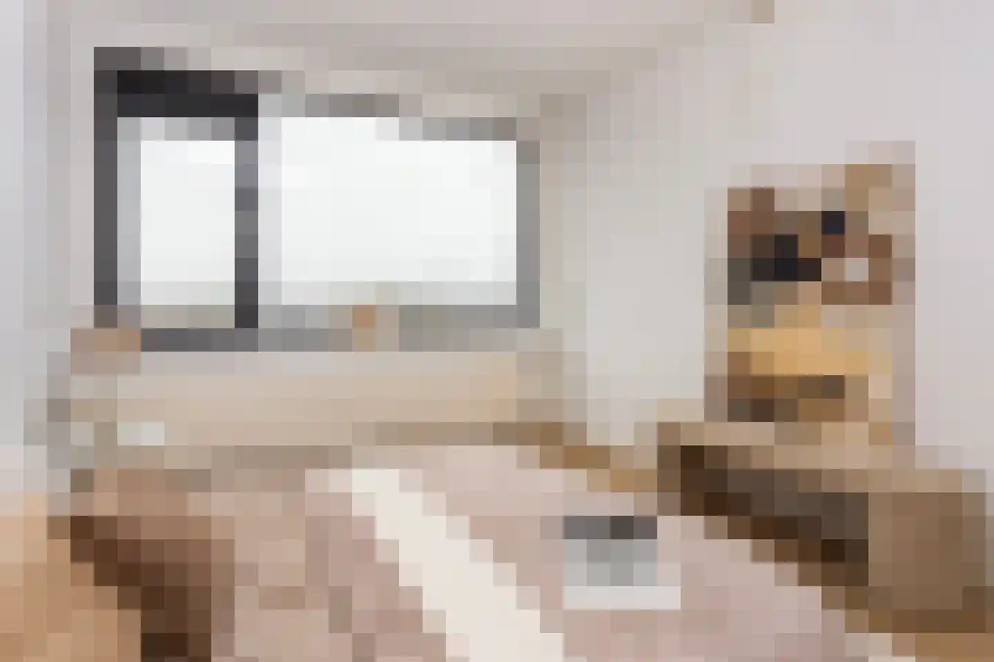 Eisenhowerlaan 86 Utrecht thumbnail 14