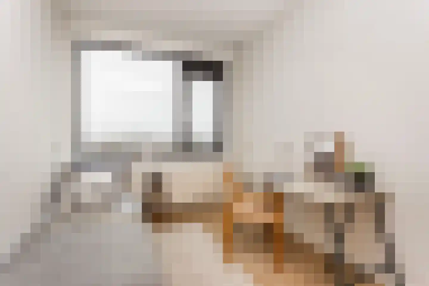 Eisenhowerlaan 86 Utrecht thumbnail 17