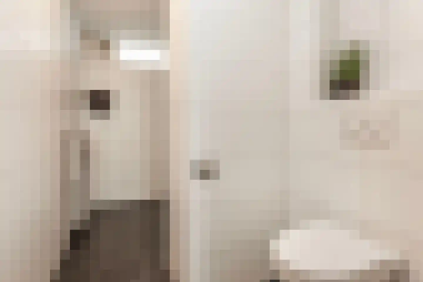 Eisenhowerlaan 86 Utrecht thumbnail 19