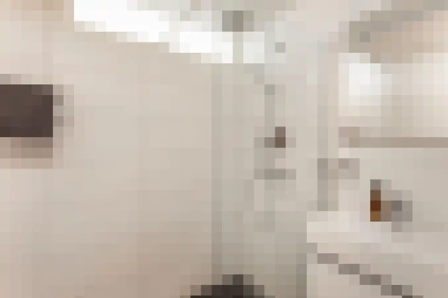 Eisenhowerlaan 86 Utrecht thumbnail 20