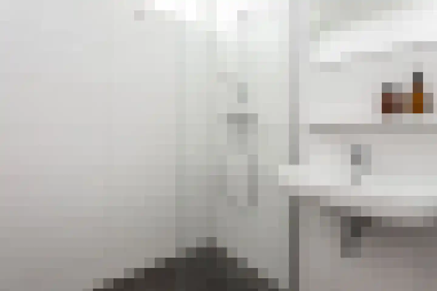 Eisenhowerlaan 94 Utrecht thumbnail 20