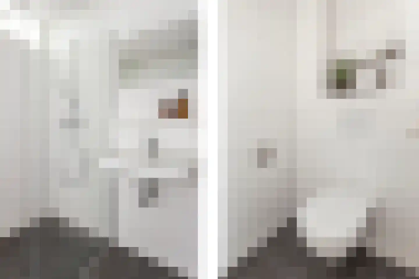 Eisenhowerlaan 94 Utrecht thumbnail 21
