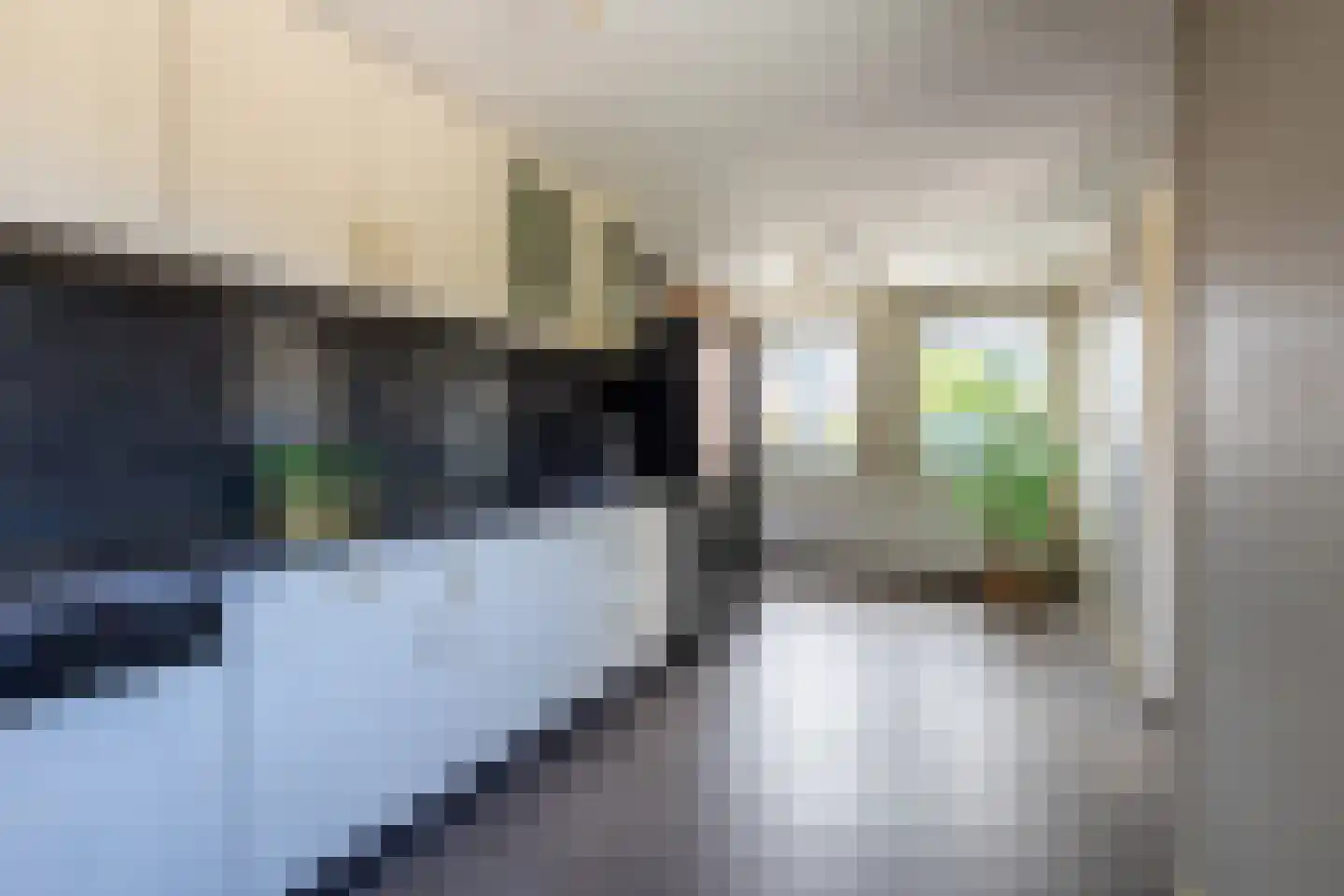 Eisenhowersingel 15 Kloosterzande thumbnail 14