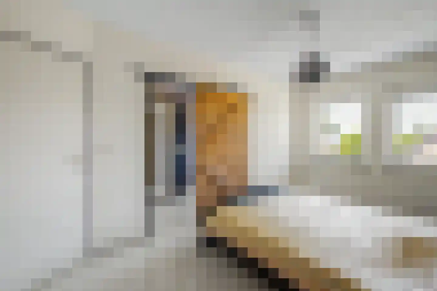 Eisenhowersingel 15 Kloosterzande thumbnail 18