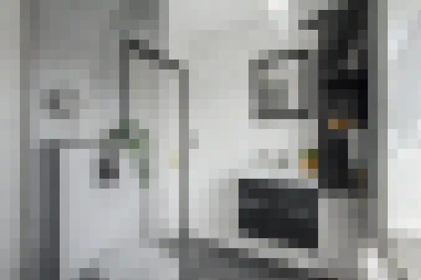 Eisenhowersingel 15 Kloosterzande thumbnail 24