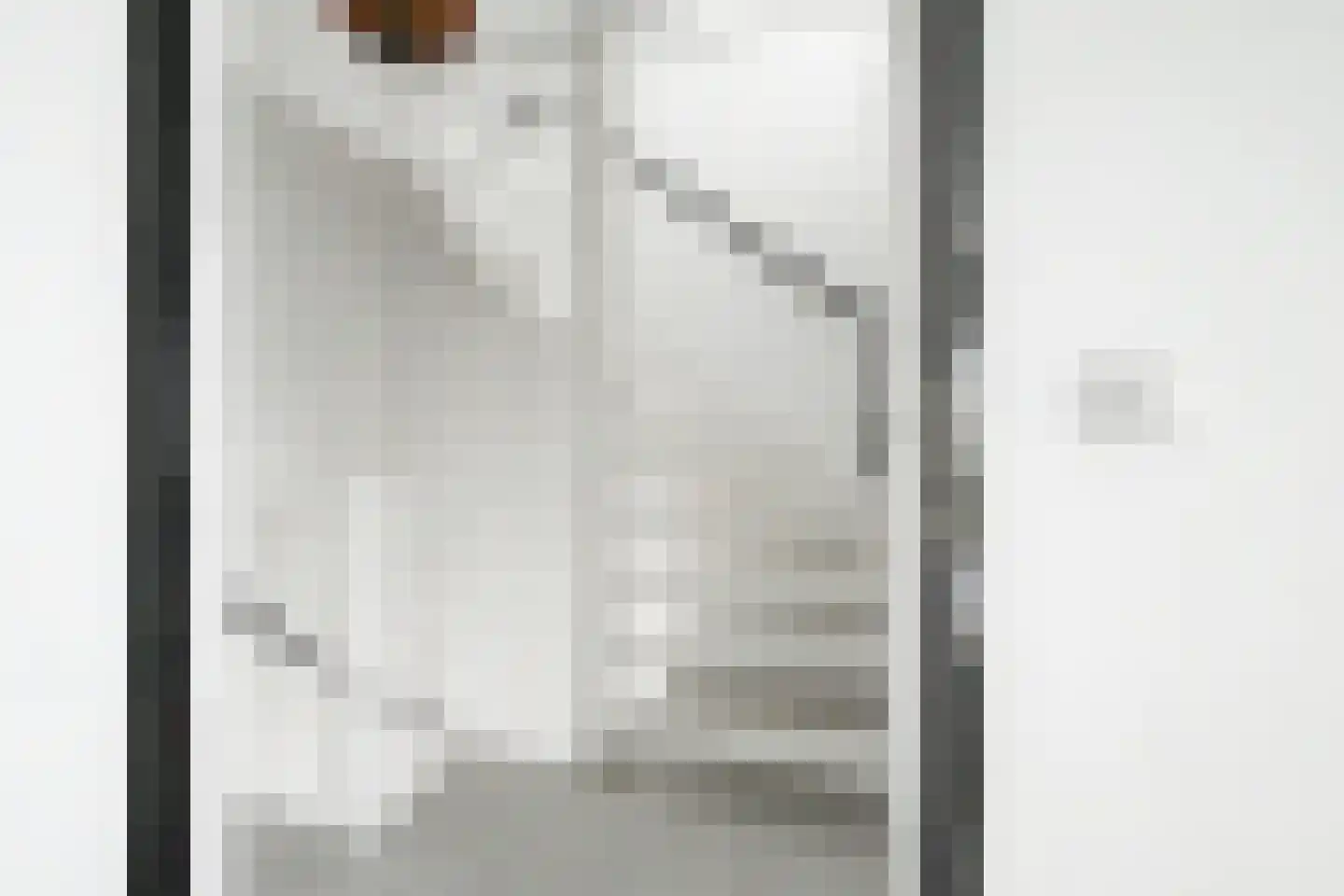 Eisenhowersingel 15 Kloosterzande thumbnail 25
