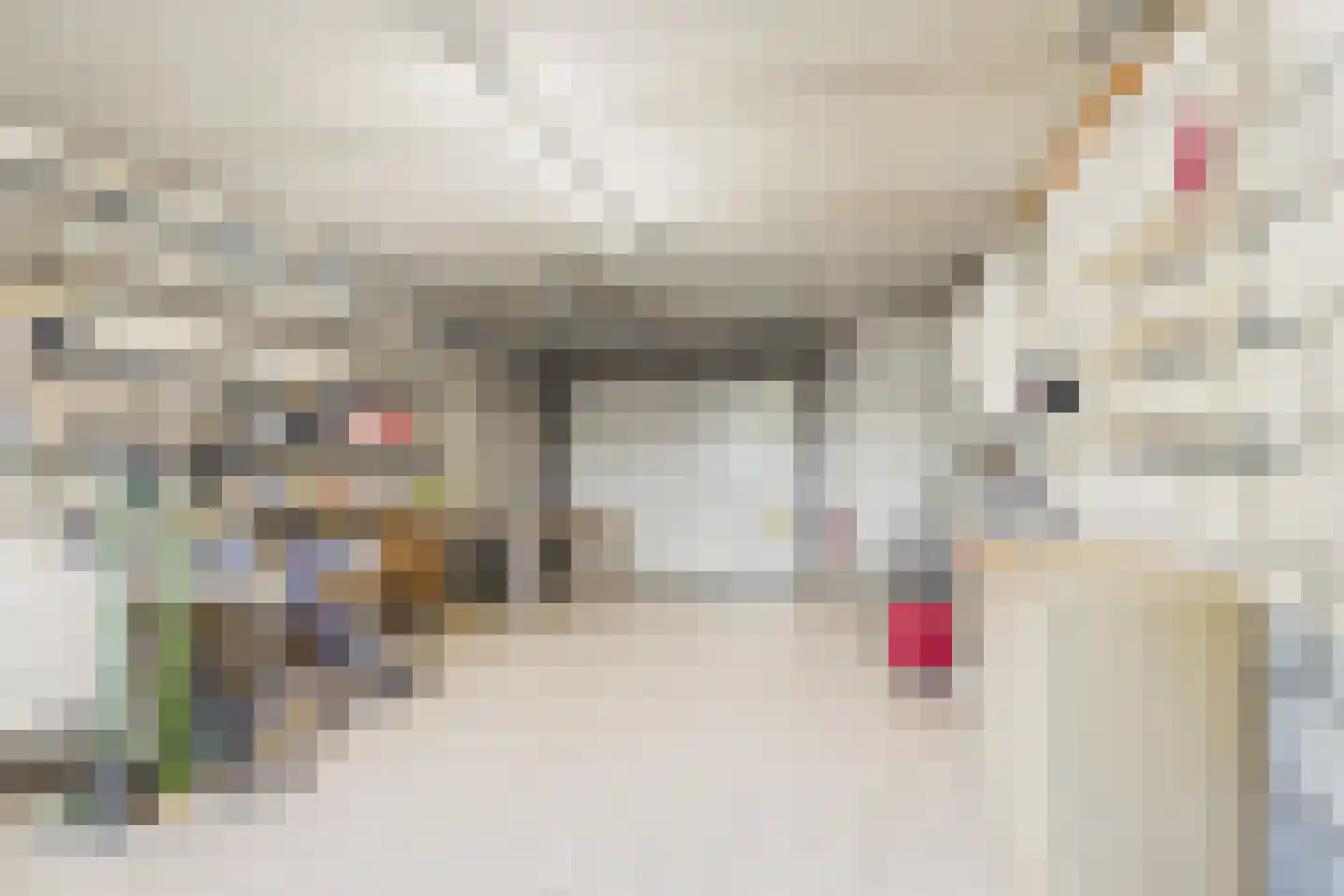Eisenhowersingel 33 Kloosterzande thumbnail 27