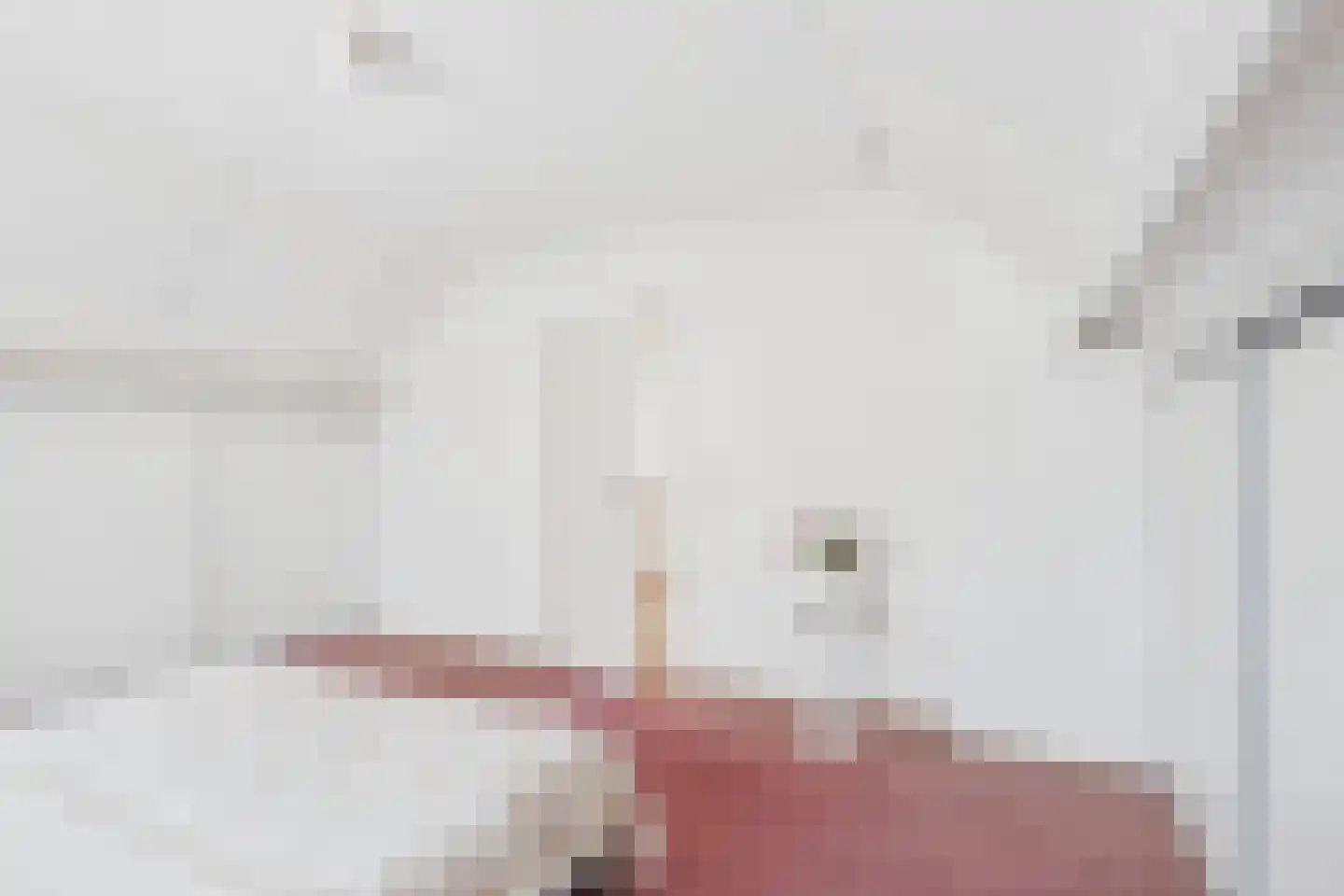 Eisenhowersingel 33 Kloosterzande thumbnail 32