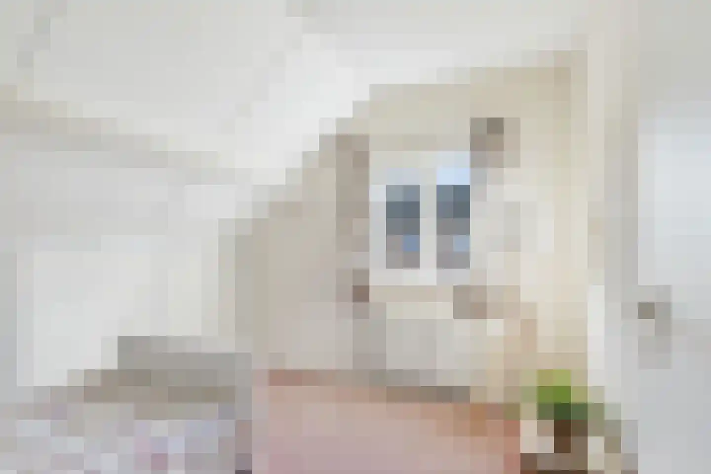 Eisenhowersingel 33 Kloosterzande thumbnail 36