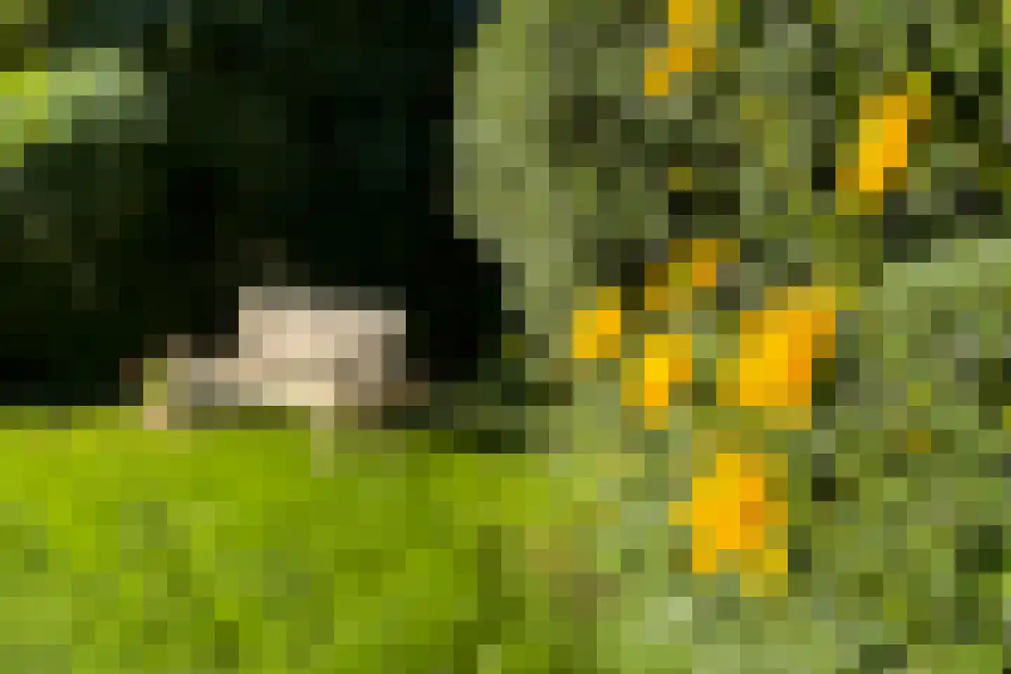Eisenhowersingel 33 Kloosterzande thumbnail 43