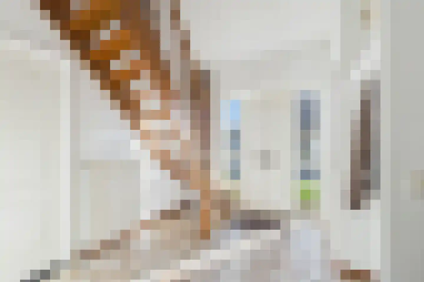 Eisenhowersingel 33 Kloosterzande thumbnail 7