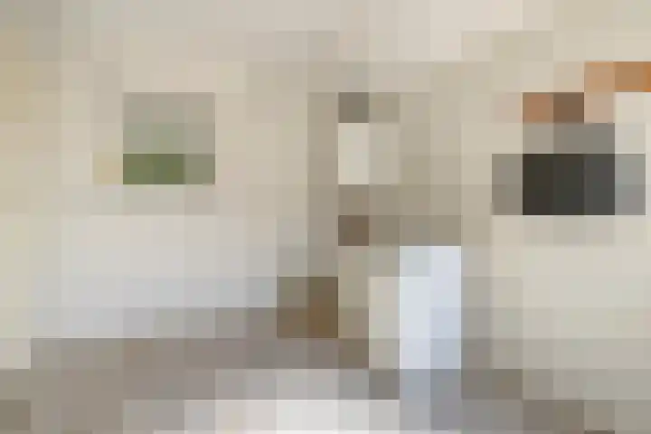Eisenhowersingel 53 Kloosterzande thumbnail 15