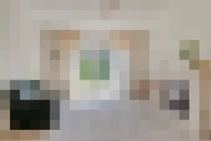 Eisenhowersingel 53 Kloosterzande thumbnail 7