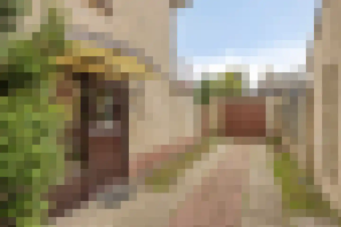 Eisenhowerstraat 11 Rijen thumbnail 6