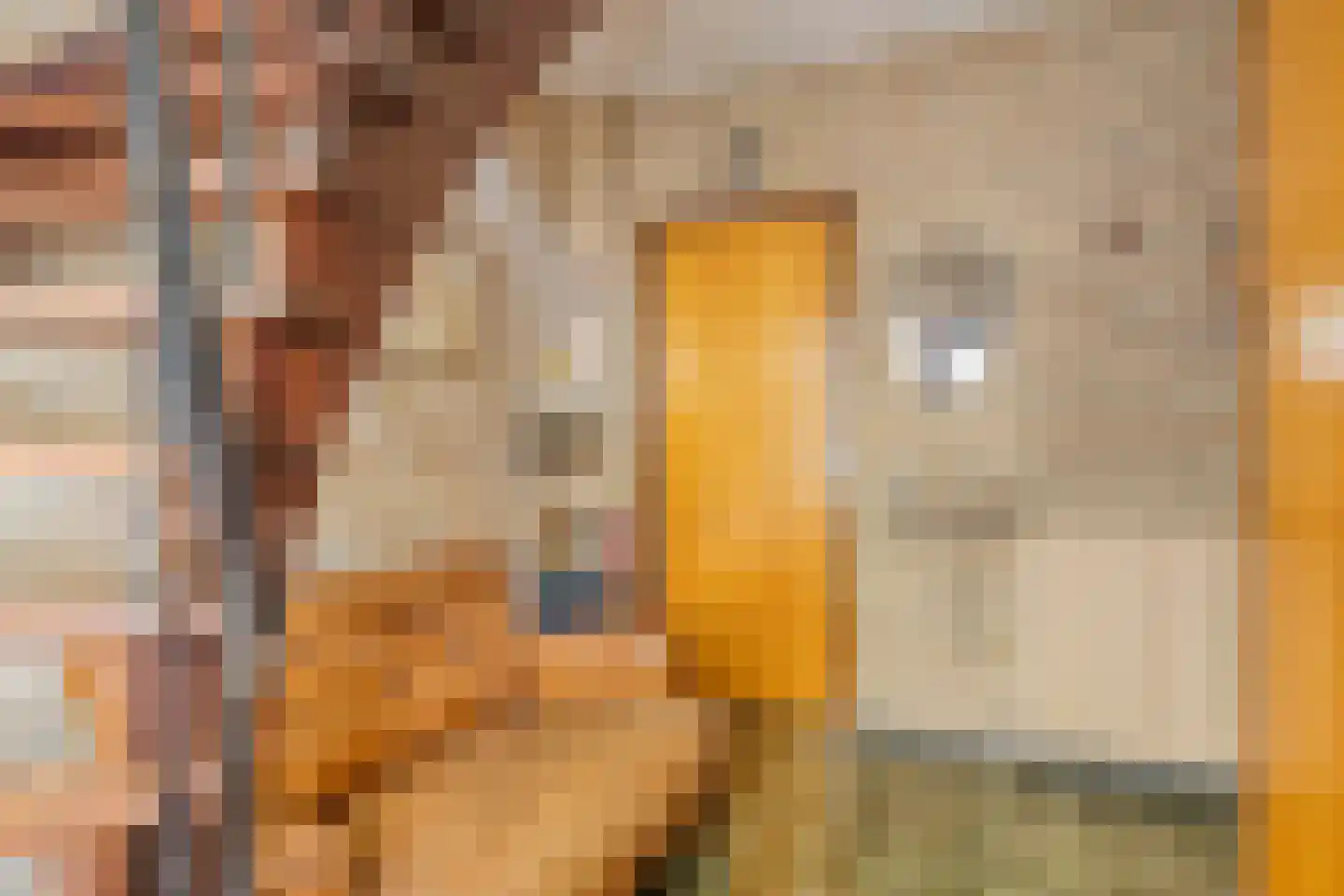 Eisenhowerstraat 11 Rijen thumbnail 9