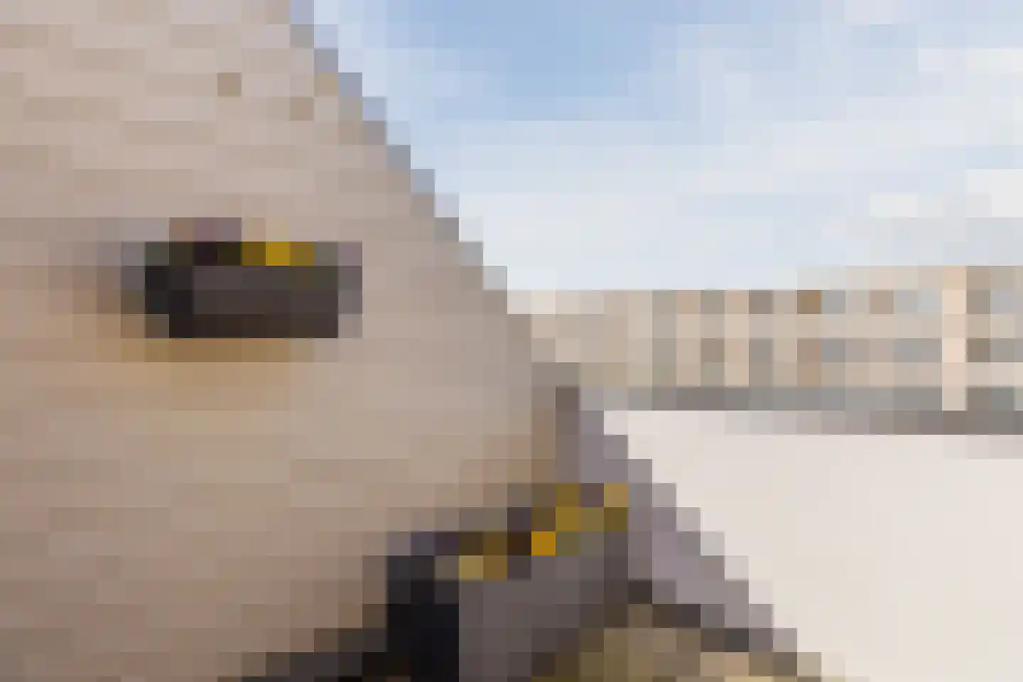 Eisenhowerstraat 212 Egmond aan Zee thumbnail 24