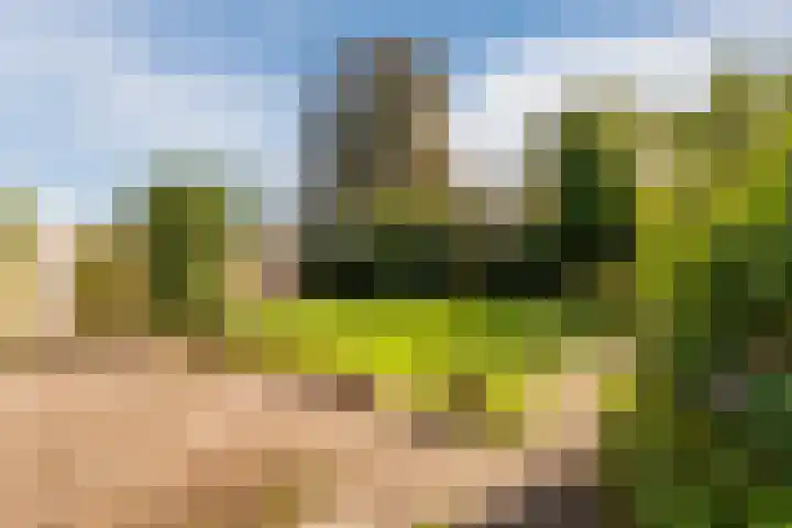 Eisenhowerstraat 29 Hoogeveen thumbnail 31
