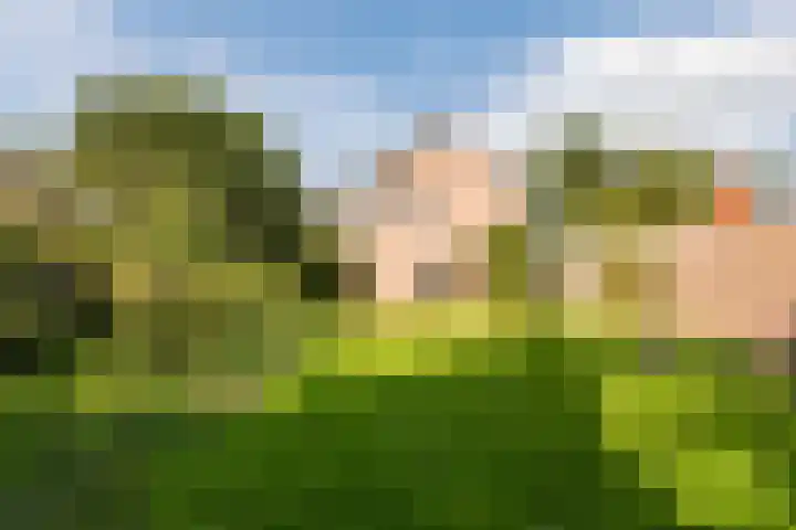 Eisenhowerstraat 29 Hoogeveen thumbnail 34