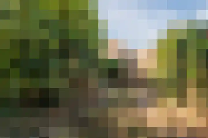 Eisenhowerstraat 29 Hoogeveen thumbnail 38