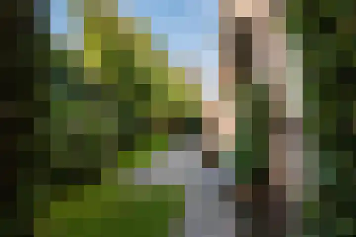 Eisenhowerstraat 29 Hoogeveen thumbnail 39