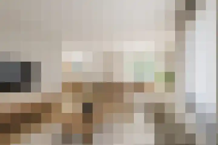 Eisenhowerstraat 29 Hoogeveen thumbnail 4