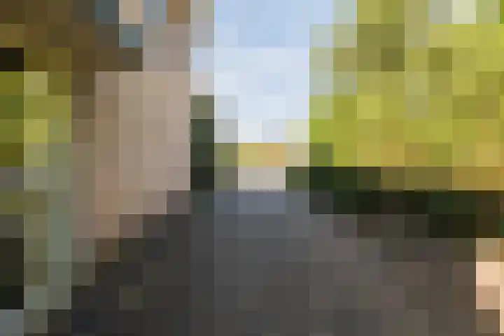 Eisenhowerstraat 29 Hoogeveen thumbnail 41