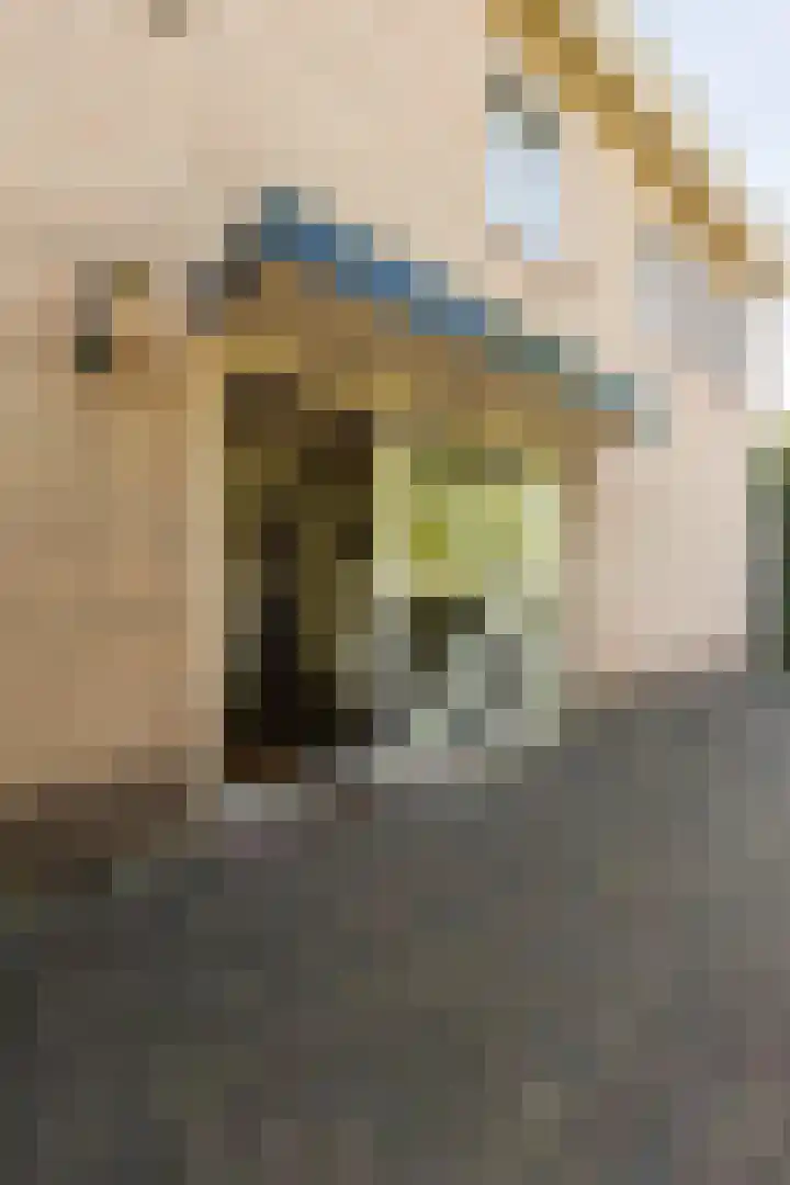Eisenhowerstraat 29 Hoogeveen thumbnail 42