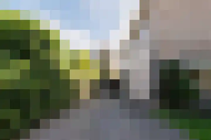 Eisenhowerstraat 29 Hoogeveen thumbnail 43