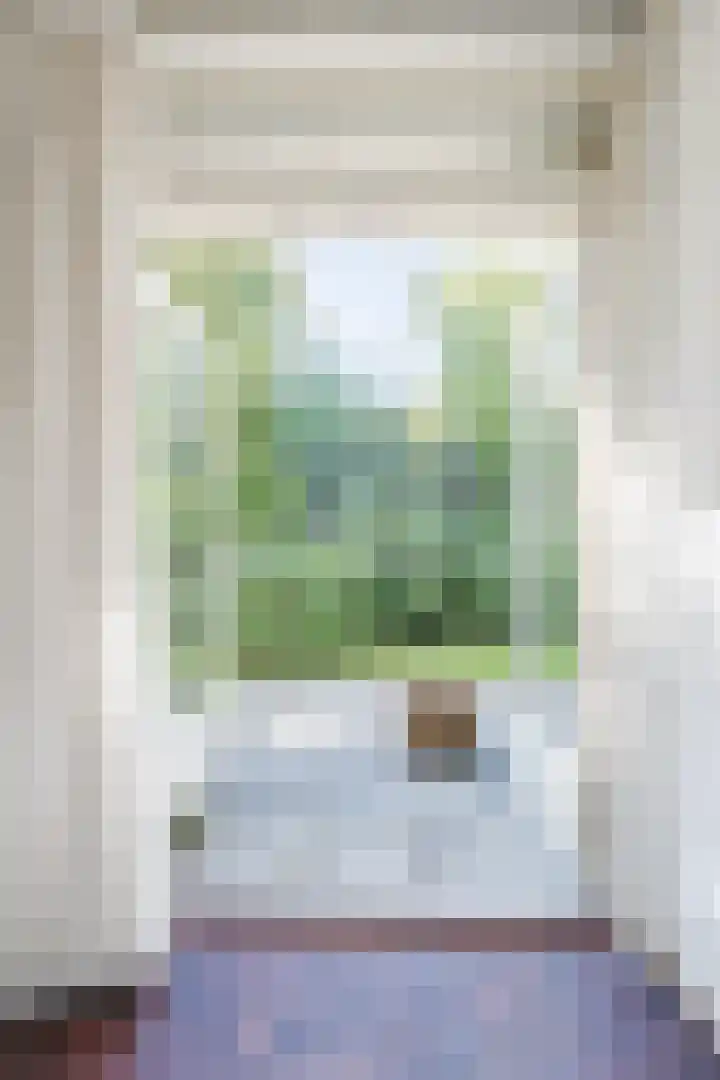 Eisenhowerstraat 29 Hoogeveen thumbnail 8