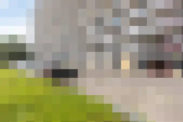 Eisenhowerstraat 390 Sittard thumbnail 33