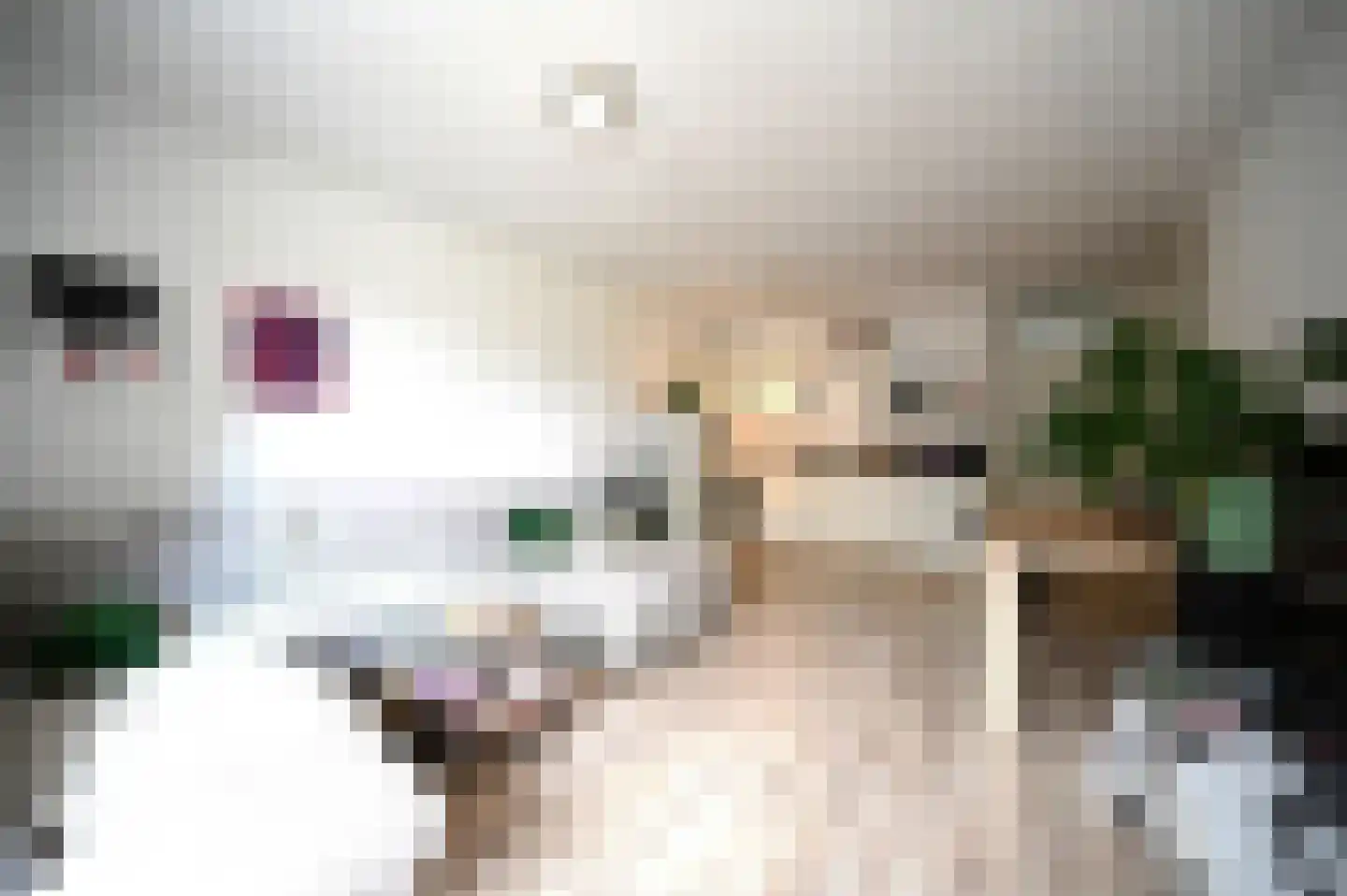 Eisenhowerstraat 411 Sittard thumbnail 10