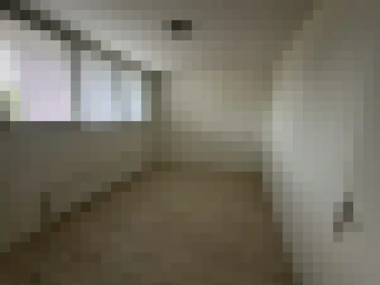 Eisenhowerstraat 420 Sittard thumbnail 18