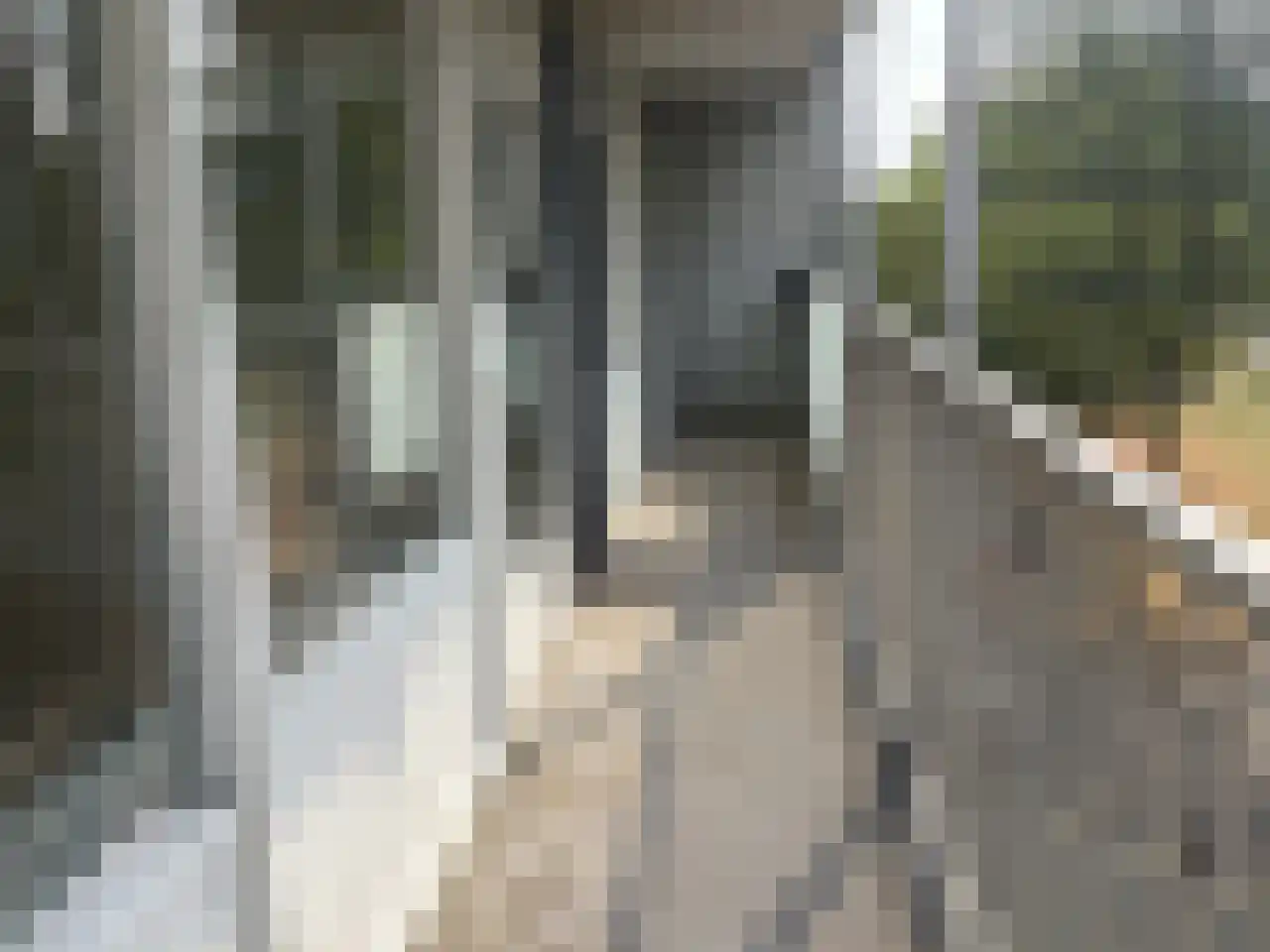 Eisenhowerstraat 420 Sittard thumbnail 20