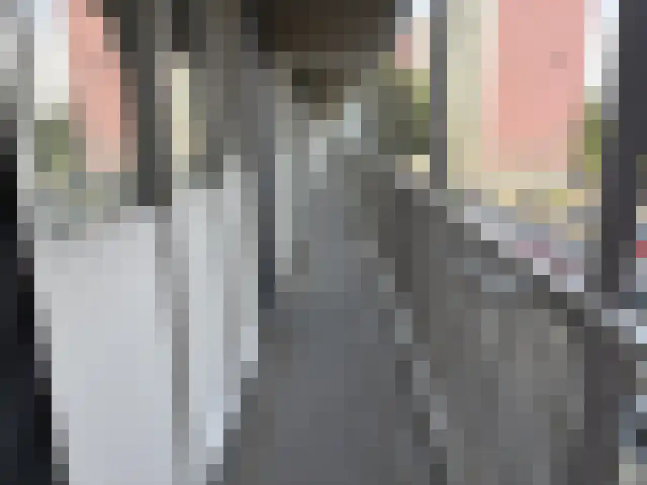 Eisenhowerstraat 420 Sittard thumbnail 5