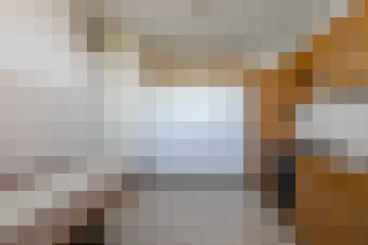 Eisenhowerstraat 465 Sittard thumbnail 13