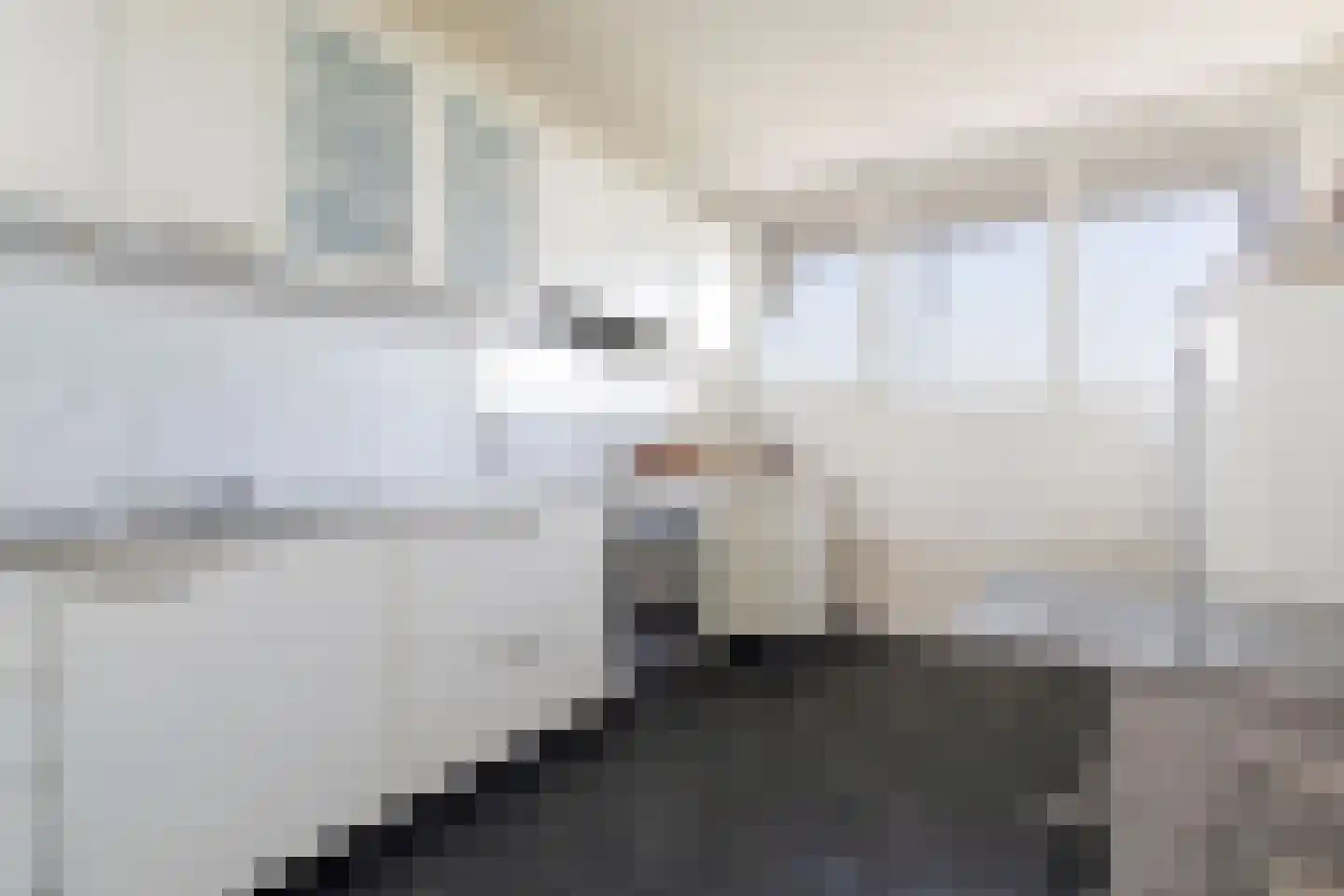 Eisenhowerstraat 470 Sittard thumbnail 18