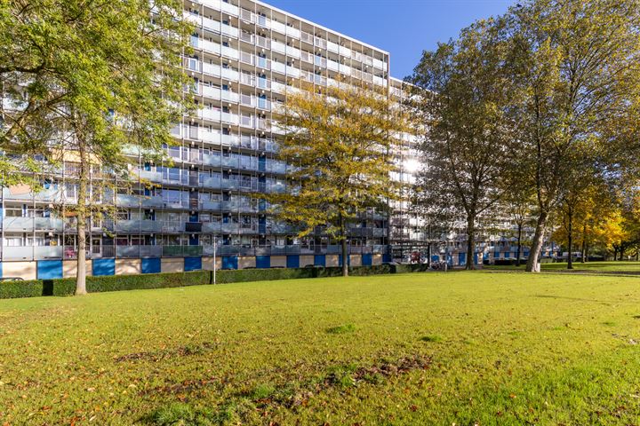 Eisenhowerstraat 478 in Sittard Foto