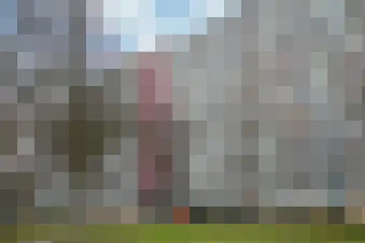 Eisenhowerstraat 531 Sittard thumbnail 17