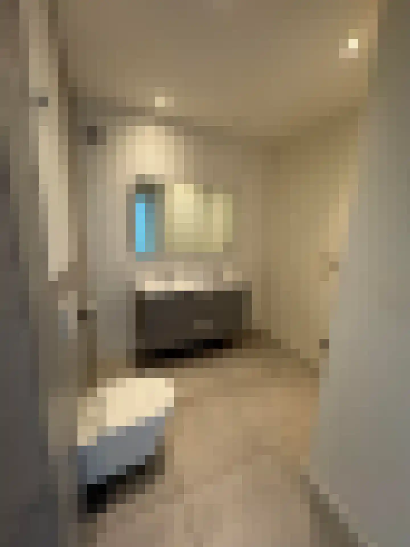 Eisenhowerstraat 690 Sittard thumbnail 12