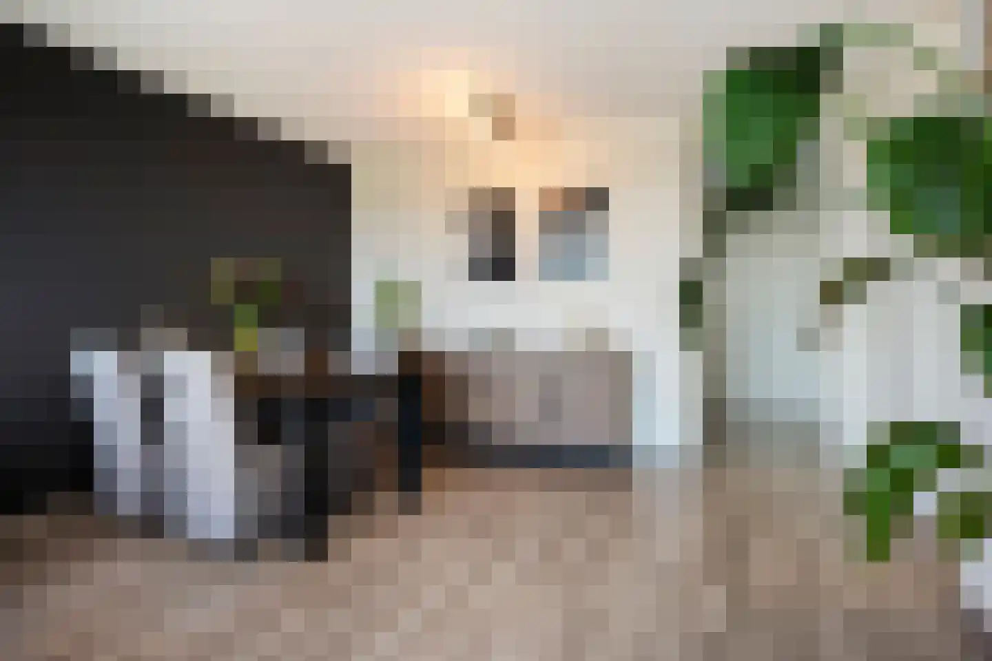 Eisenhowerstraat 697 Sittard thumbnail 11