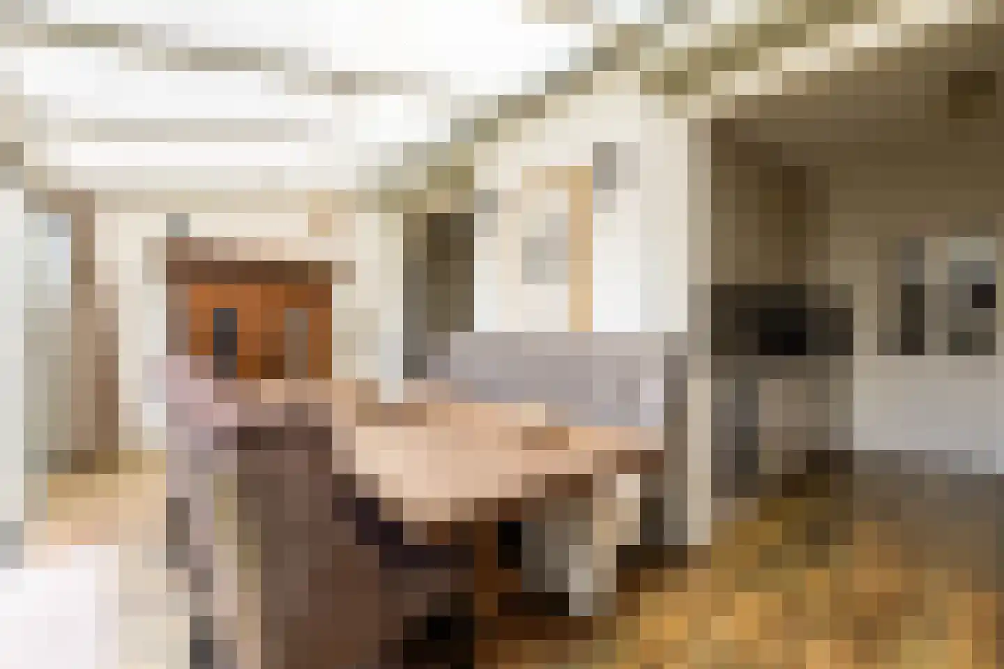 Eisenhowerstraat 7 Oss thumbnail 11