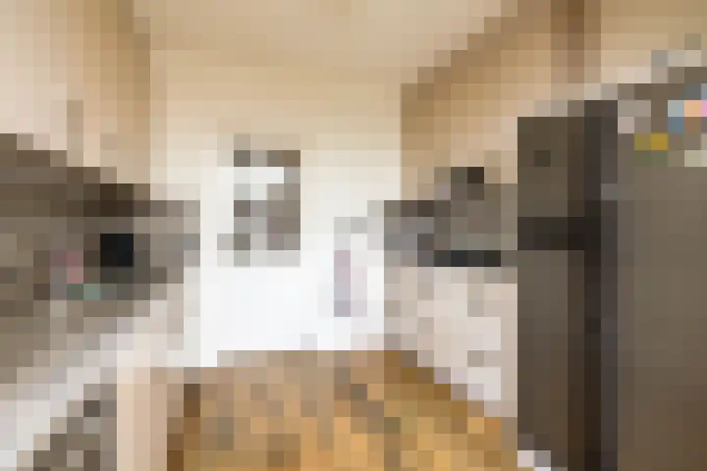 Eisenhowerstraat 7 Oss thumbnail 12