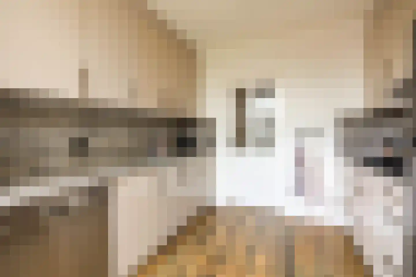 Eisenhowerstraat 7 Oss thumbnail 14