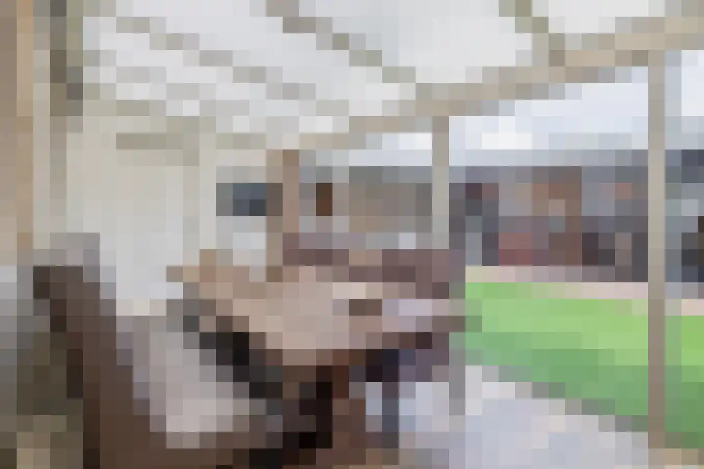 Eisenhowerstraat 7 Oss thumbnail 15