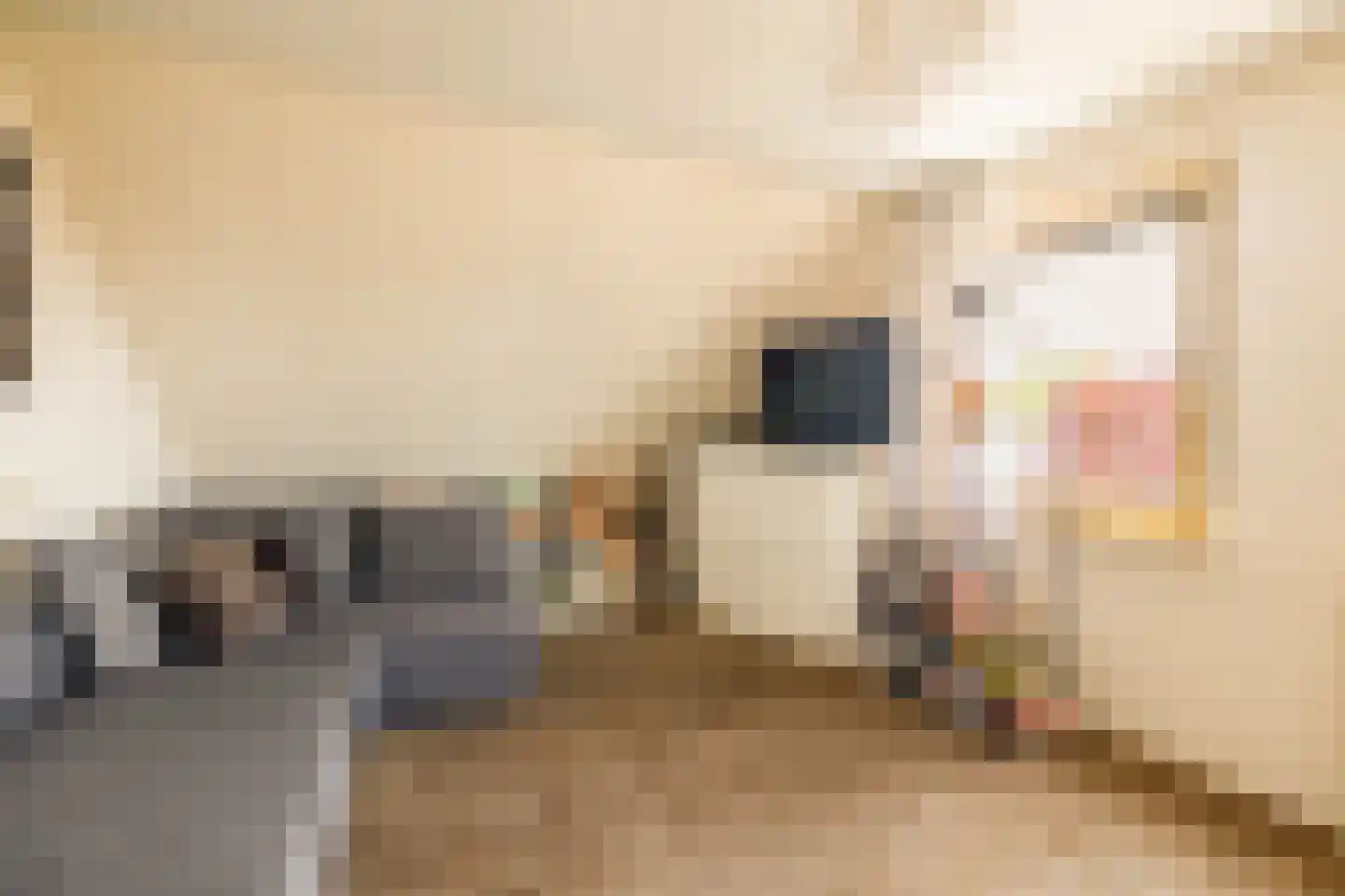 Eisenhowerstraat 7 Oss thumbnail 33
