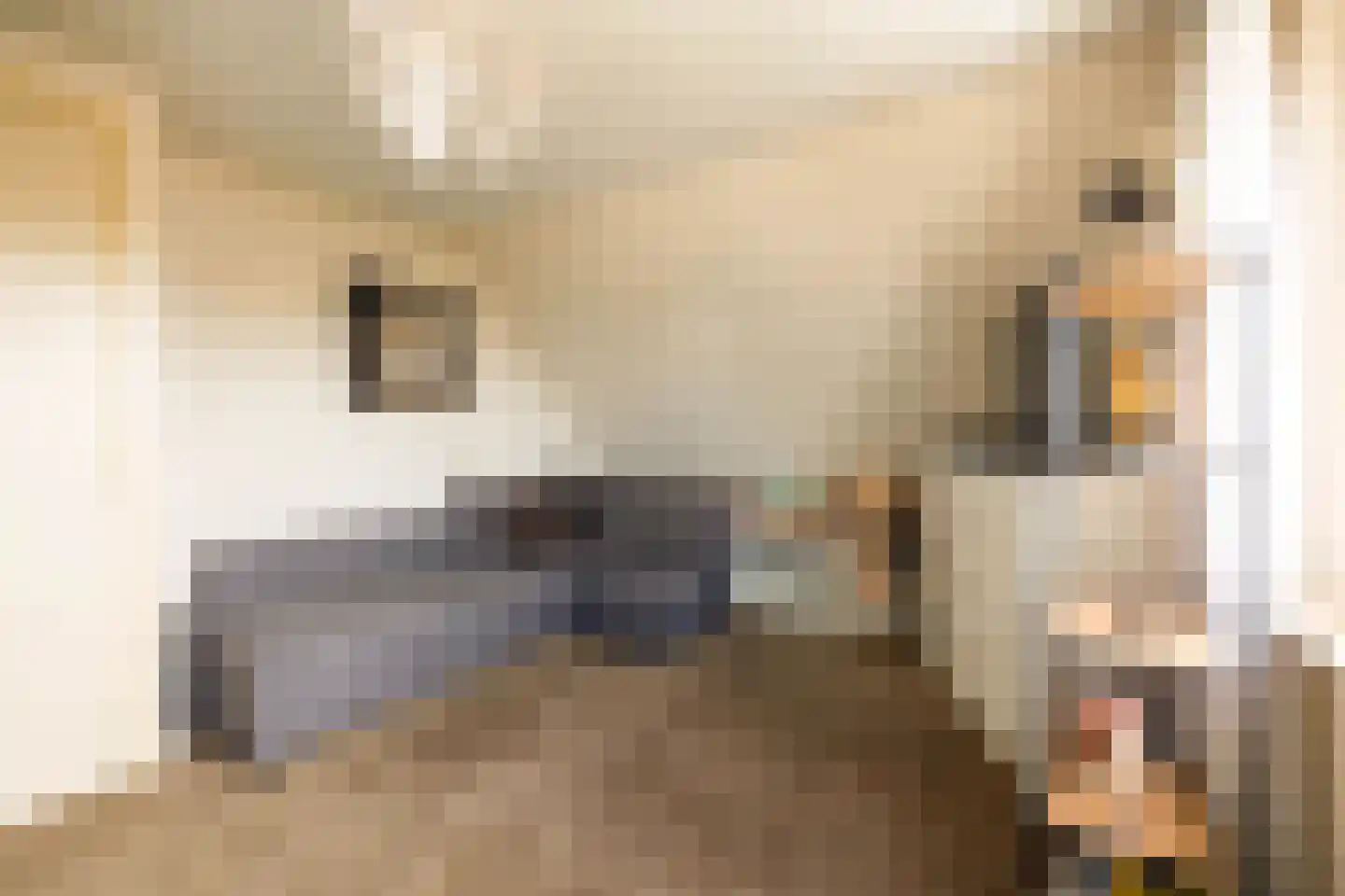 Eisenhowerstraat 7 Oss thumbnail 34