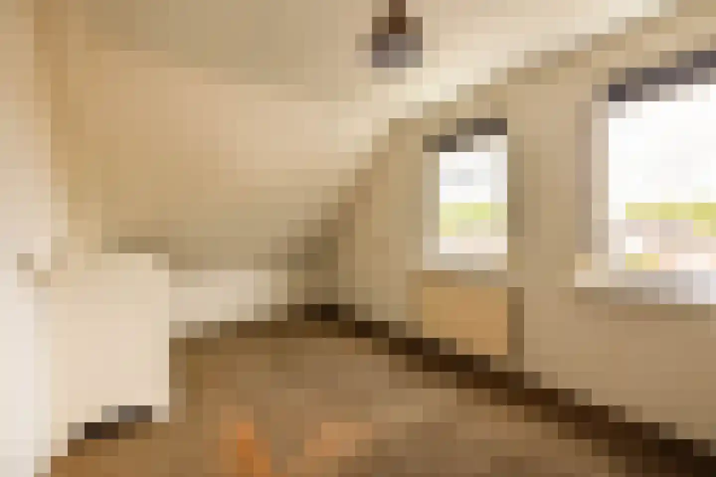 Eisenhowerstraat 7 Oss thumbnail 36