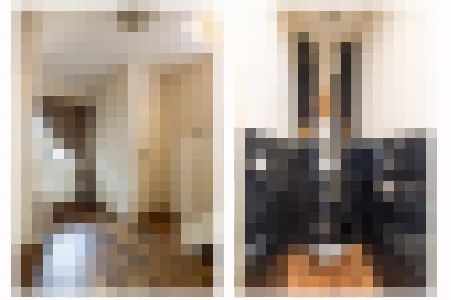 Eisenhowerstraat 7 Oss thumbnail 4